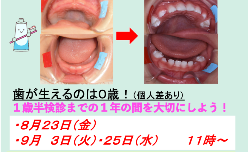 １歳検診のお知らせ セミナー番号 千葉県我孫子市 根本歯科医院 予防歯科